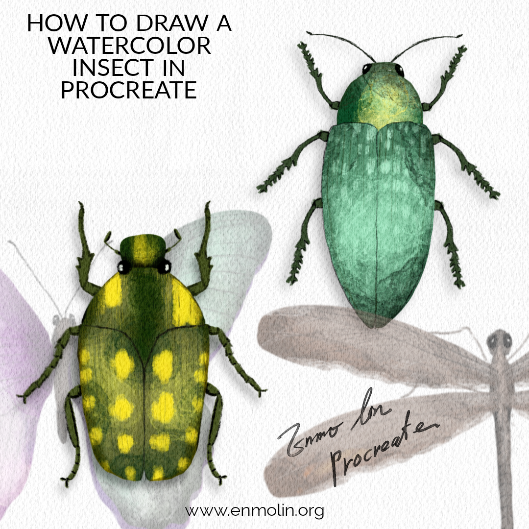 iPad Procreate online class 蝴蝶昆蟲世界